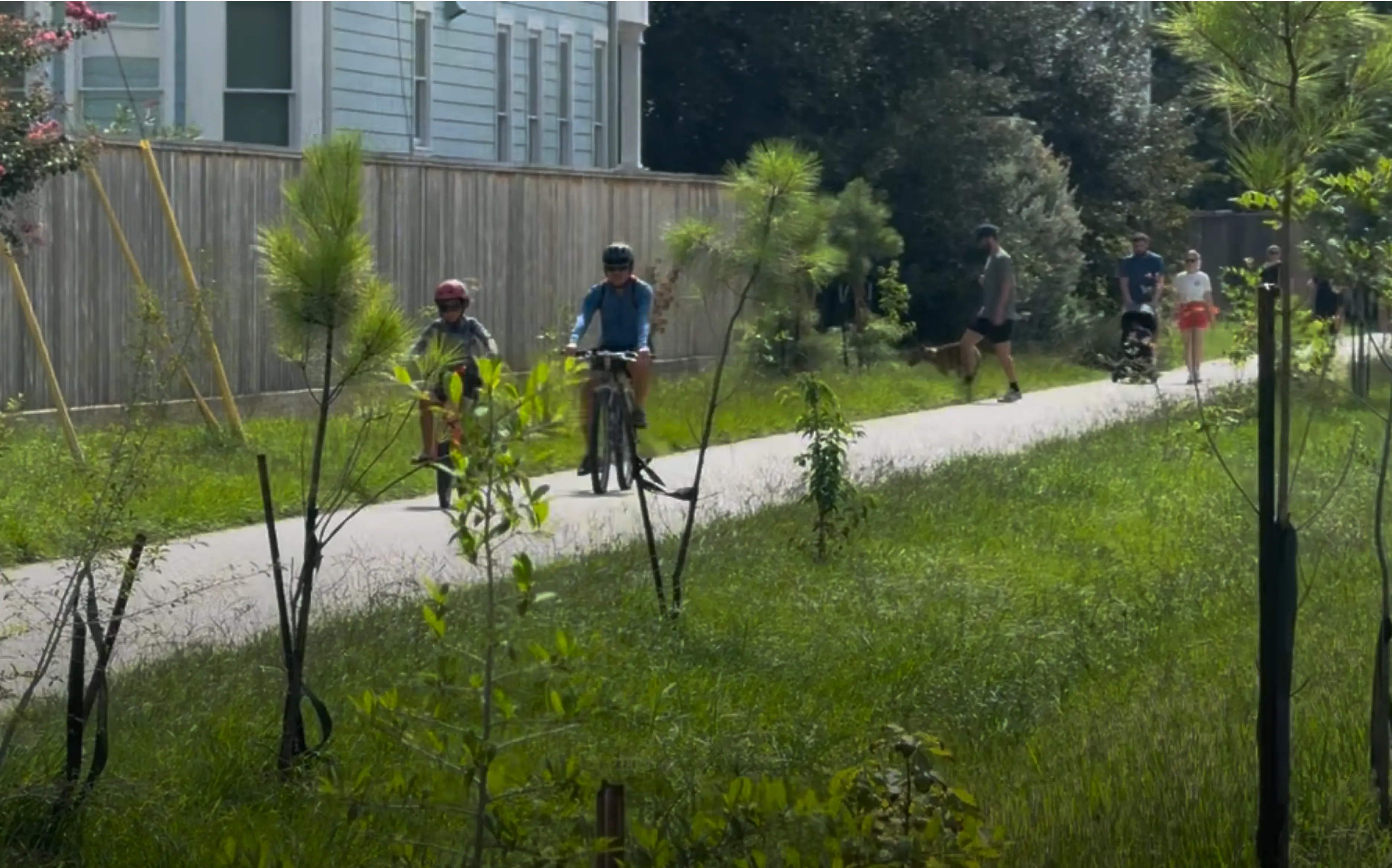 How to Get Involved with the Shade Project